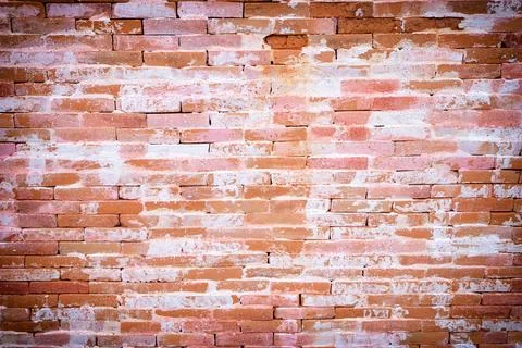 Brick wall. Stock Photos