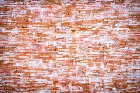 Brick wall. Stock Photos