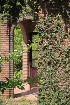 Brick wall with plan and old wooden door Stock Photos