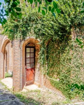 Brick wall with plan and old wooden door Stock Photos