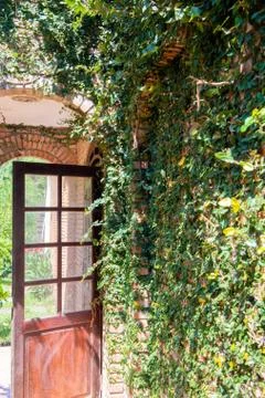 Brick wall with plan and old wooden door Stock Photos