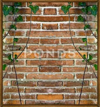Brick Wall With Plants Background