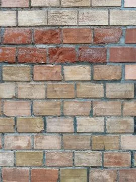 Brick wall with a red brick in the middle Stock Photos