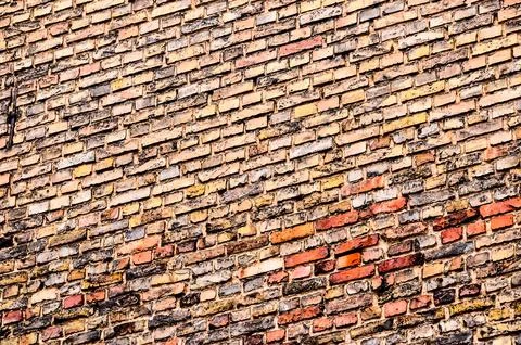 A brick wall with a red brick on the top Stock Photos
