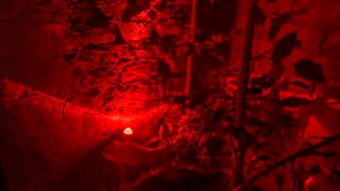 Brick wall with red light for abstract background. Business, dark. Space for  Stock Photos