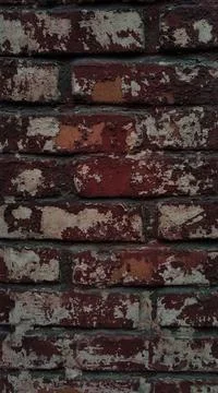 Brick wall Red Stock Photos