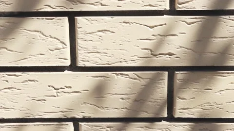 Brick wall with reflection of tree branches. Shadow from a plant Stock Footage 196315820