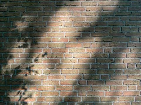 Brick Wall with Shadows Stock Photos