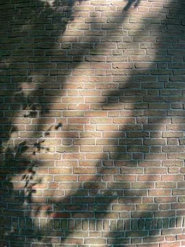 Brick Wall with Shadows Stock Photos