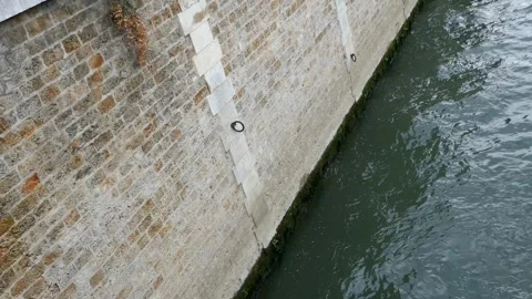Brick wall on side of river in Paris with water waves Stock Footage 320256548