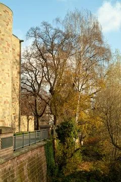 Brick Wall, Stone Path, Tall Trees and Church Tower, German Town Stock Photos