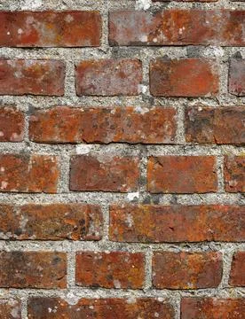 Brick wall, texture and cement with mold on concrete building structure of .. 스톡 사진