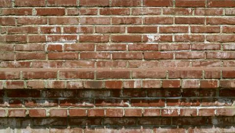 Brick wall texture background. Stock Photos
