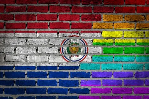 Brick wall texture - Flag of Paraguay with rainbow flag 스톡 일러스트