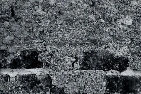 Brick wall texture partially plastered Фото