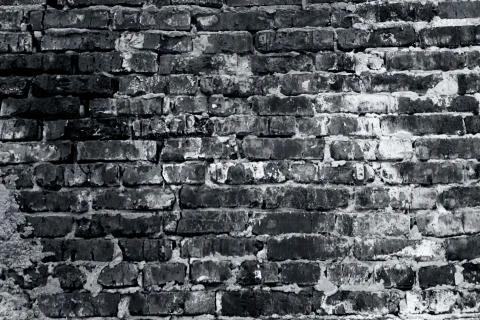 Brick wall texture partially plastered Фото