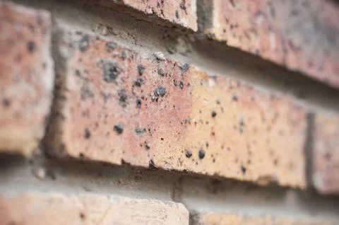 Brick wall texture with perspective 스톡 사진