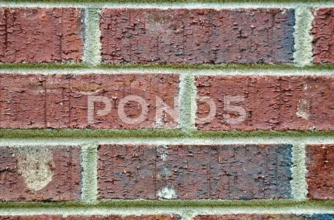 Brick wall texture Stock Photos