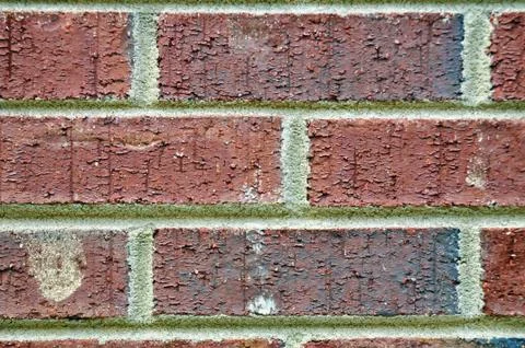 Brick wall texture Foto stock