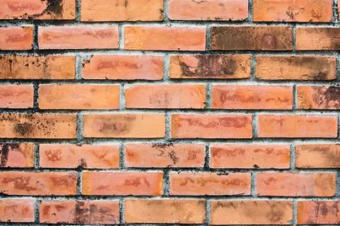Brick wall texture Stock Photos