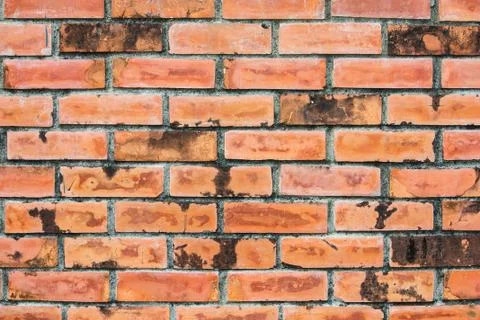 Brick wall texture Stock Photos