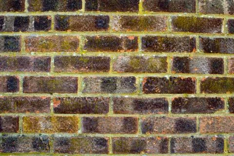 Brick wall texture 写真素材