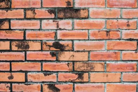 Brick wall texture Stock Photos