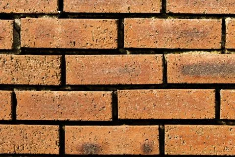A brick wall texture Stock Photos