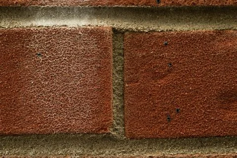 Brick wall texture Stock Photos