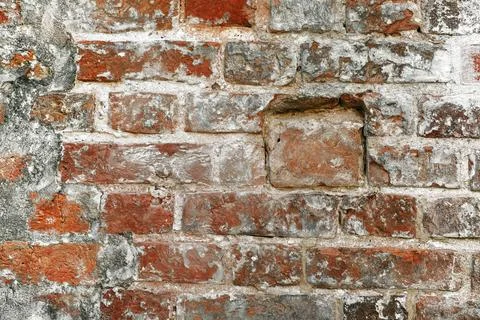 Brick wall texture Stock Photos