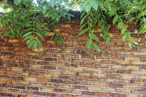 Brick wall texture Stock Photos