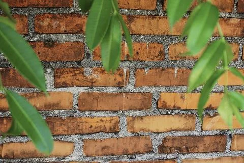 Brick wall texture Stock Photos