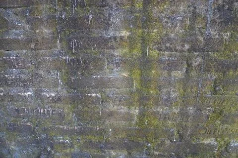 Brick wall texture Stock Photos