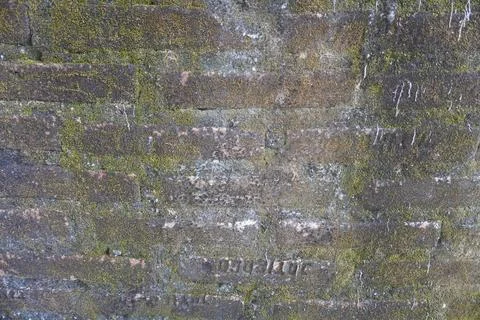 Brick wall texture Stock Photos