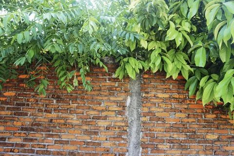 Brick wall texture Foto stock