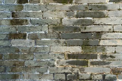Brick wall texture Photos