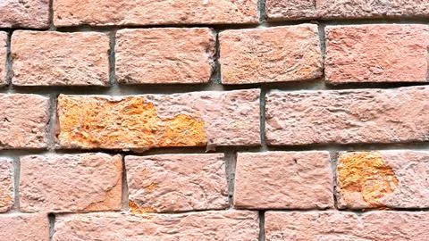 Brick Wall Texture, red brick texture, High Quality Photo Stock Photos