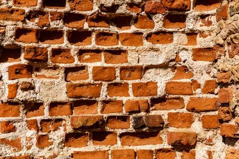 Brick wall texture in sunlight. Stock Photos