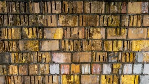 Brick wall texture with traces of mold and erosion Stock Photos