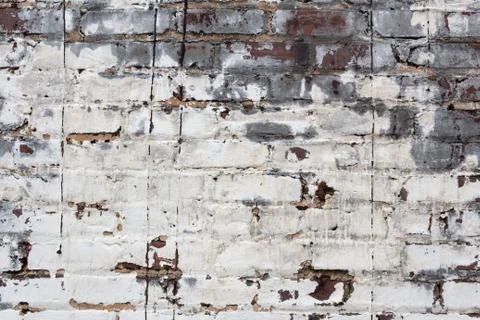 Brick wall with thick layers of white and grey peeling paint Foto stock