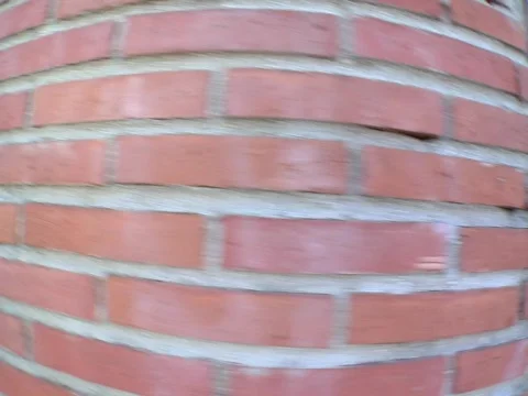 Brick wall tracking fish Stock-Footage 857894