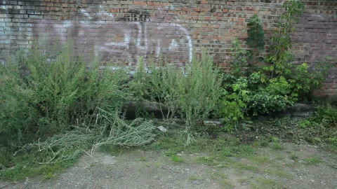 Brick wall for tracking. Video stock 93050816