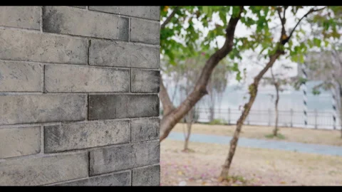 Brick Wall to Tree Transition for Mindfulness Background Use Stock Footage 327654305