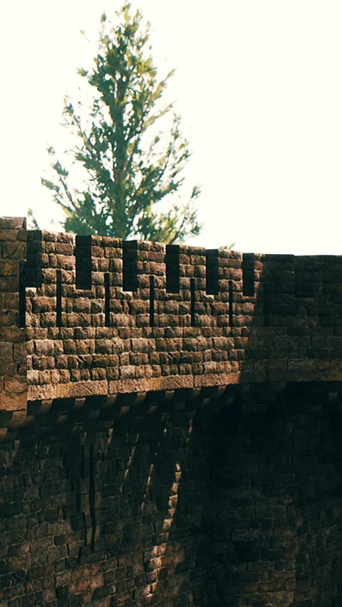Brick wall with trees in background during bright sunlight Stock Footage 346758146