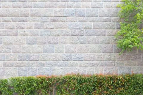 Brick wall with trees Stock Photos