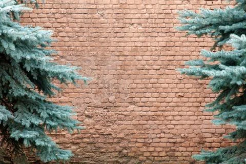 A brick wall with two green trees on either side Foto stock