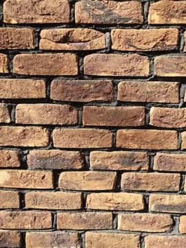 Brick wall under sunlight. Wall brick texture Stock Photos