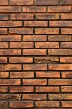 Brick wall in vertical view Stock Photos