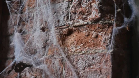 Brick wall, on the wall of cobweb. Russia, Kronstadt, Stock Footage 86696796