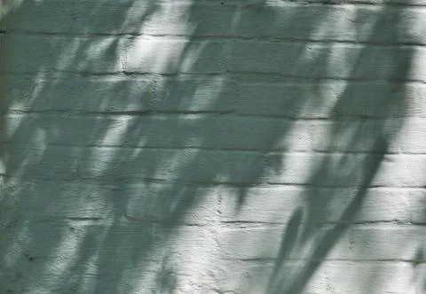 The brick wall is whitewashed with white paint. Fragment of the wall. Stock Photos